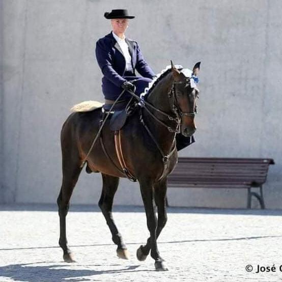 Horse Riding Country House Vila Franca de Xira Eksteriør bilde