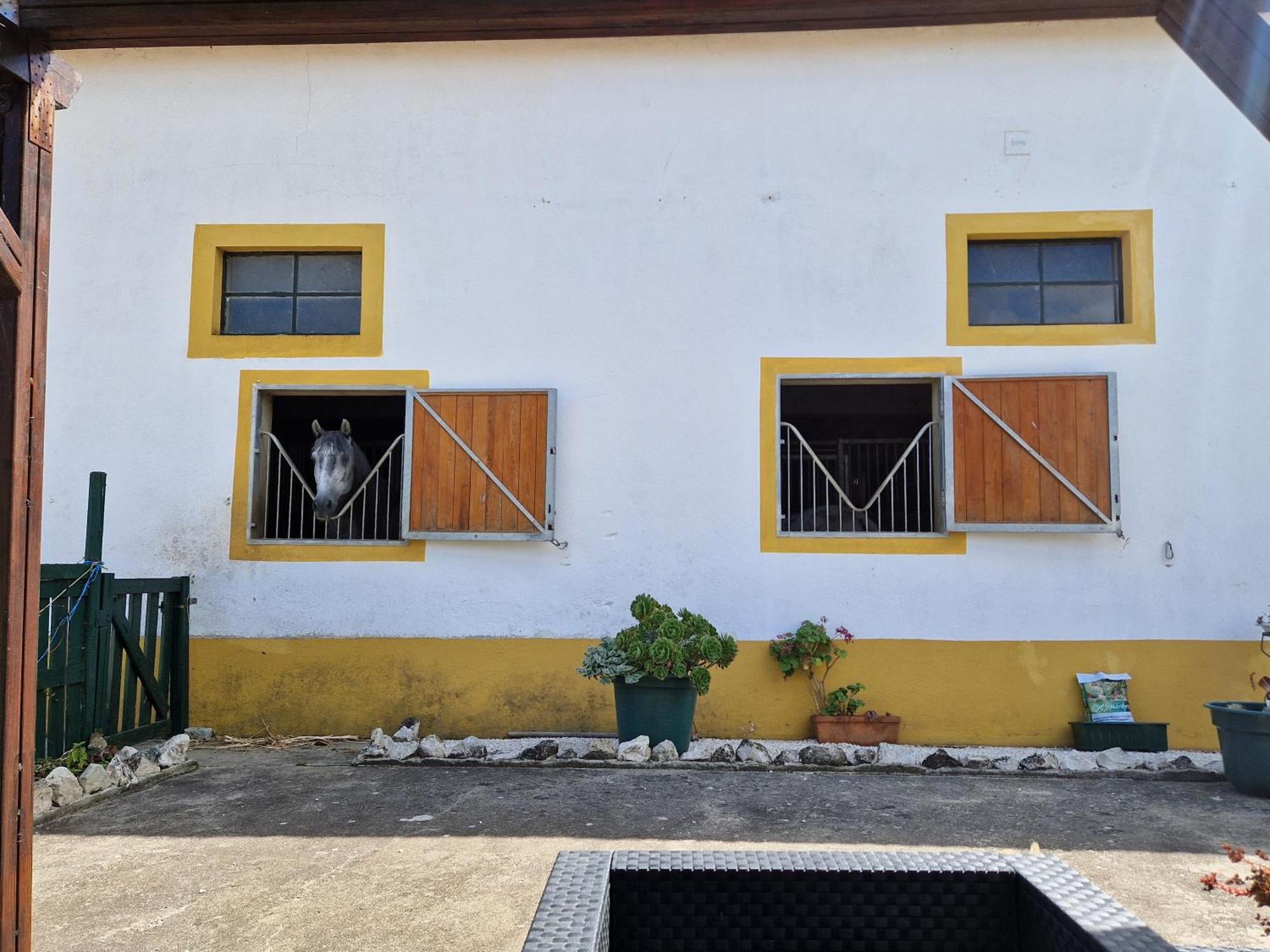 Horse Riding Country House Vila Franca de Xira Eksteriør bilde